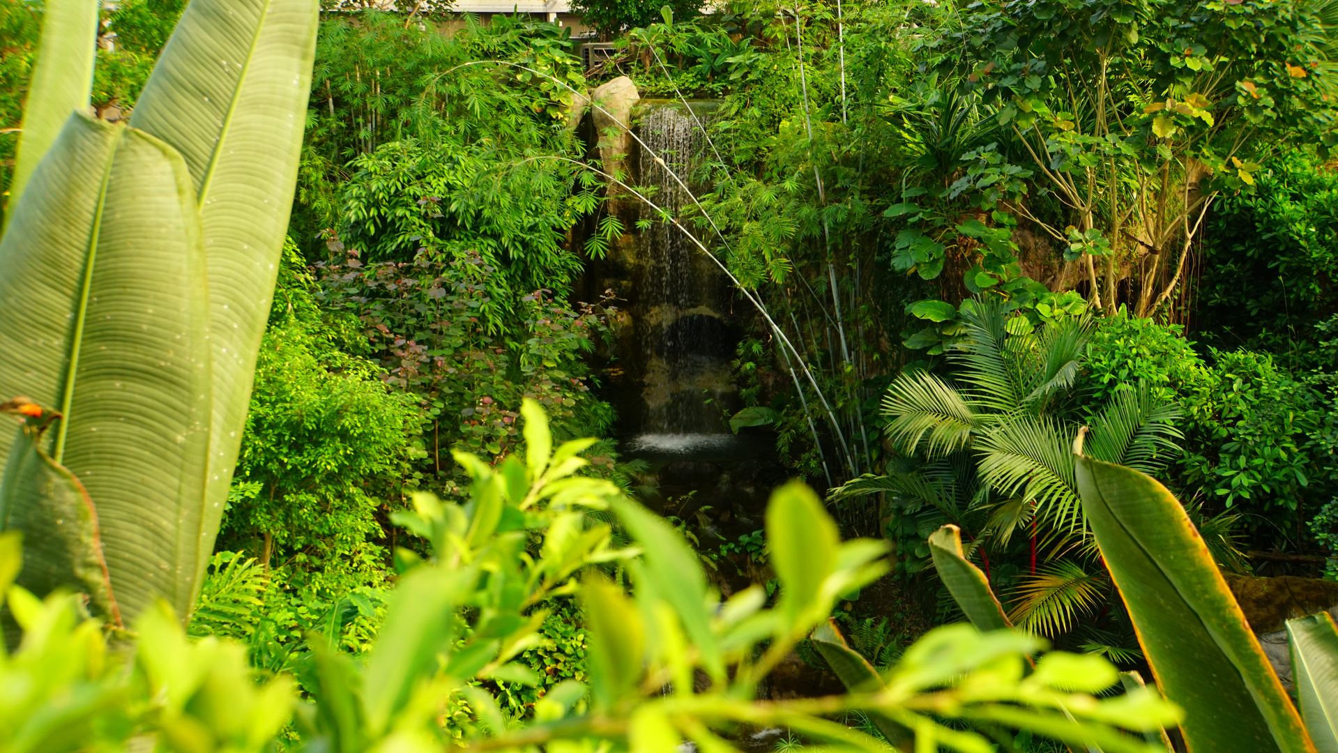 Zoo Leipzig 