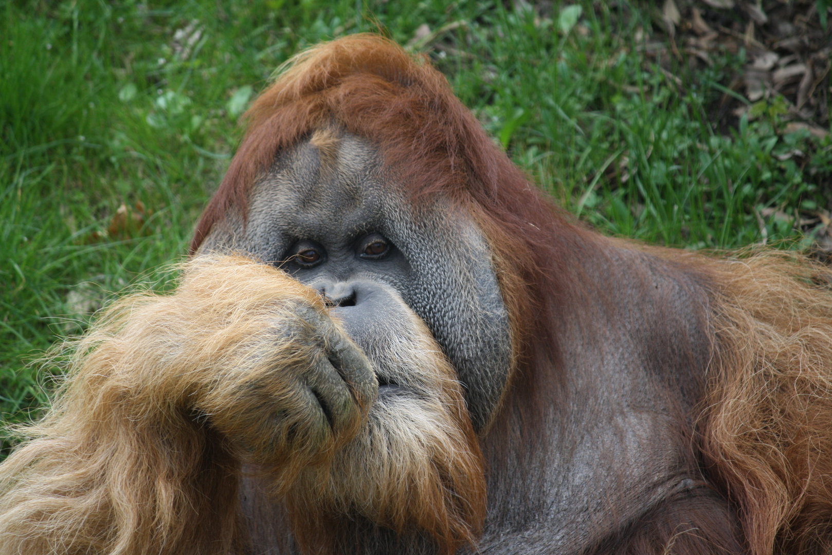 Zoo Leipzig