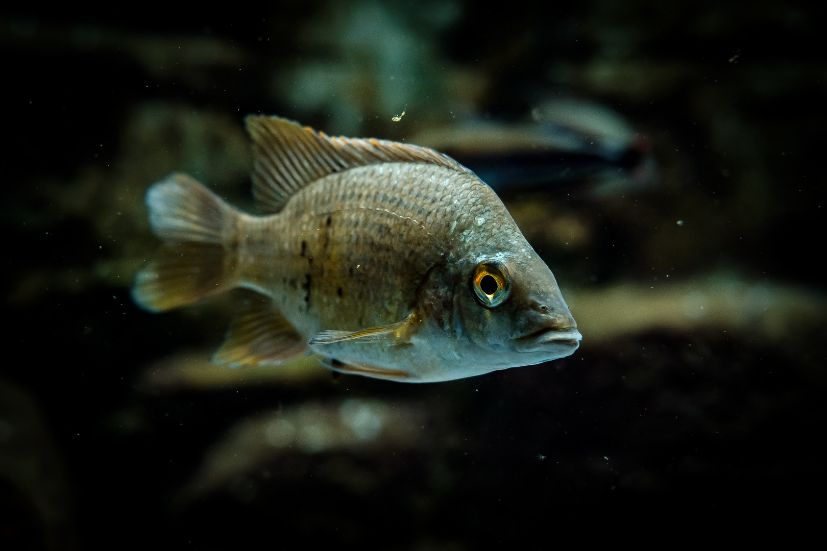 Zoo Leipzig 