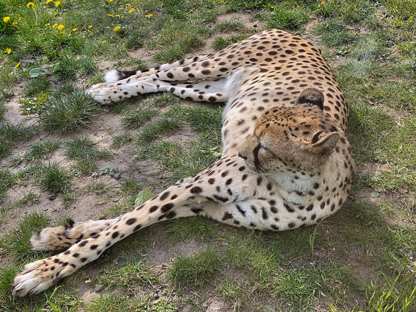 Zoo Leipzig