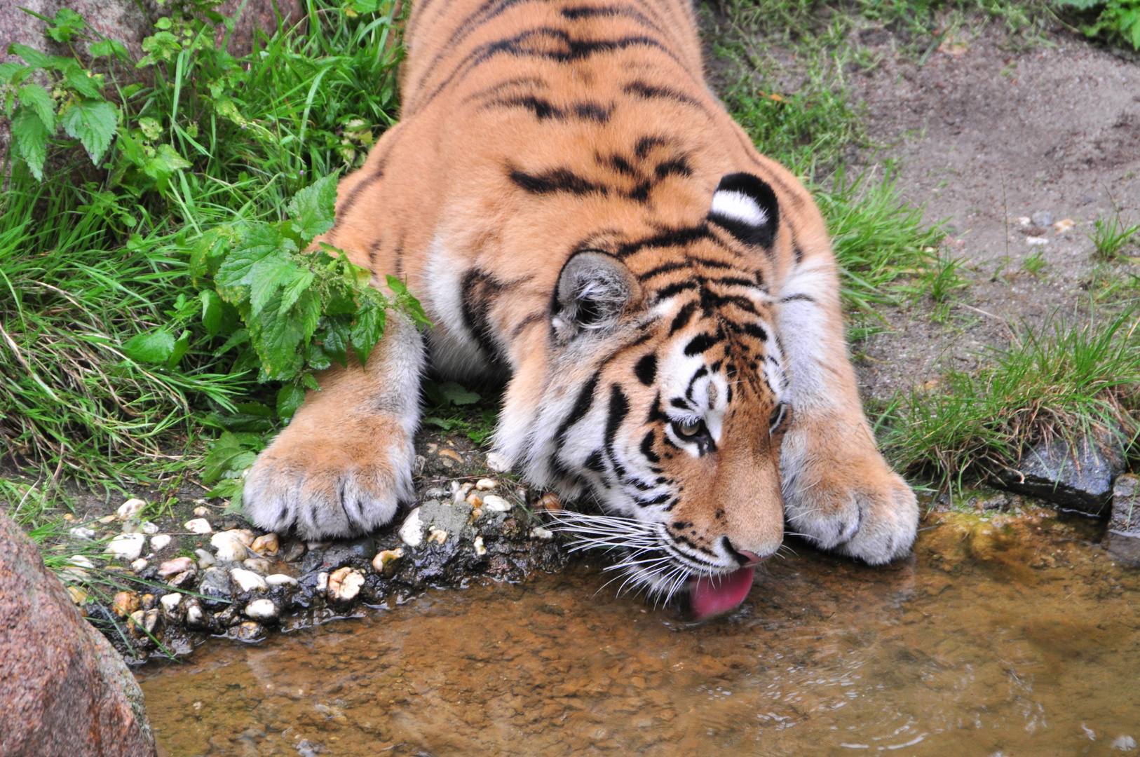 Zoo Leipzig