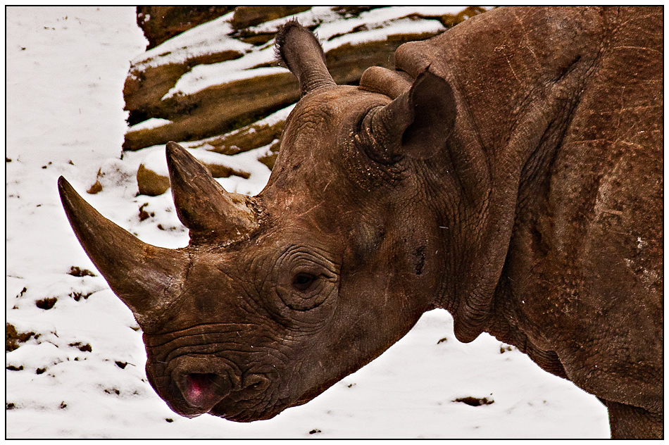 Zoo Leipzig - 6