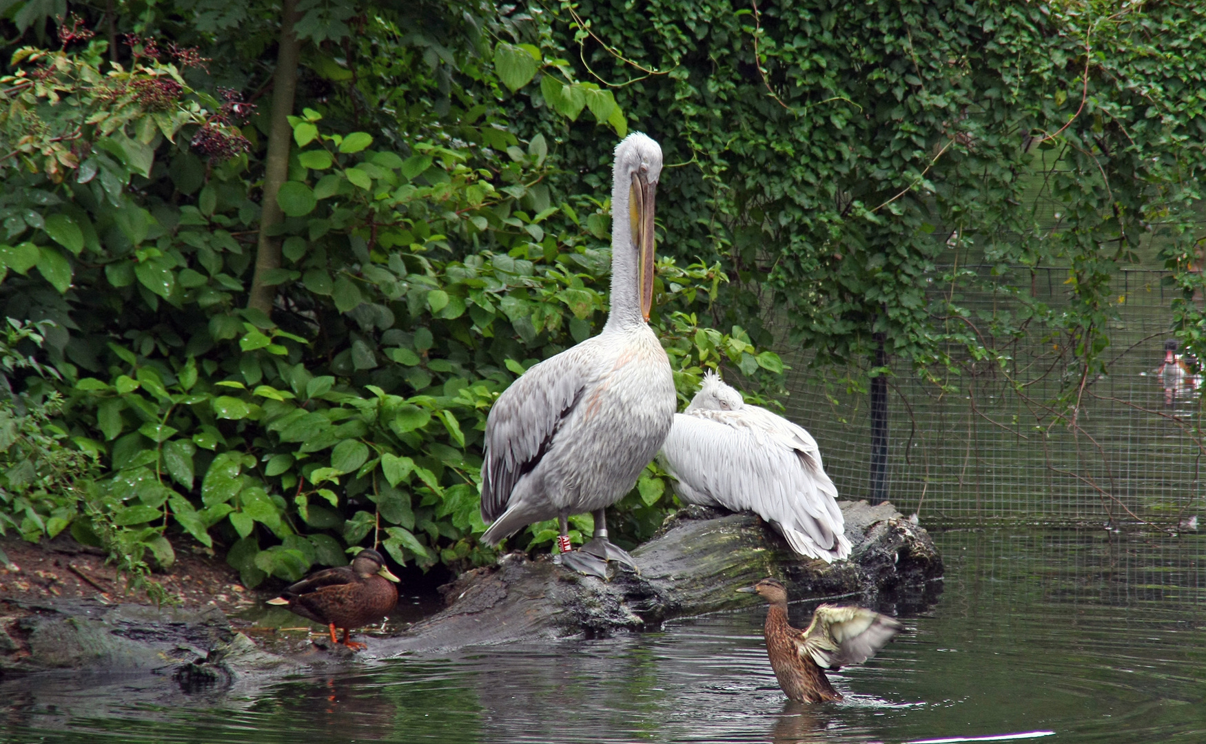 Zoo Leipzig