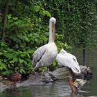 Zoo Leipzig