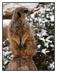 Zoo Leipzig - 7