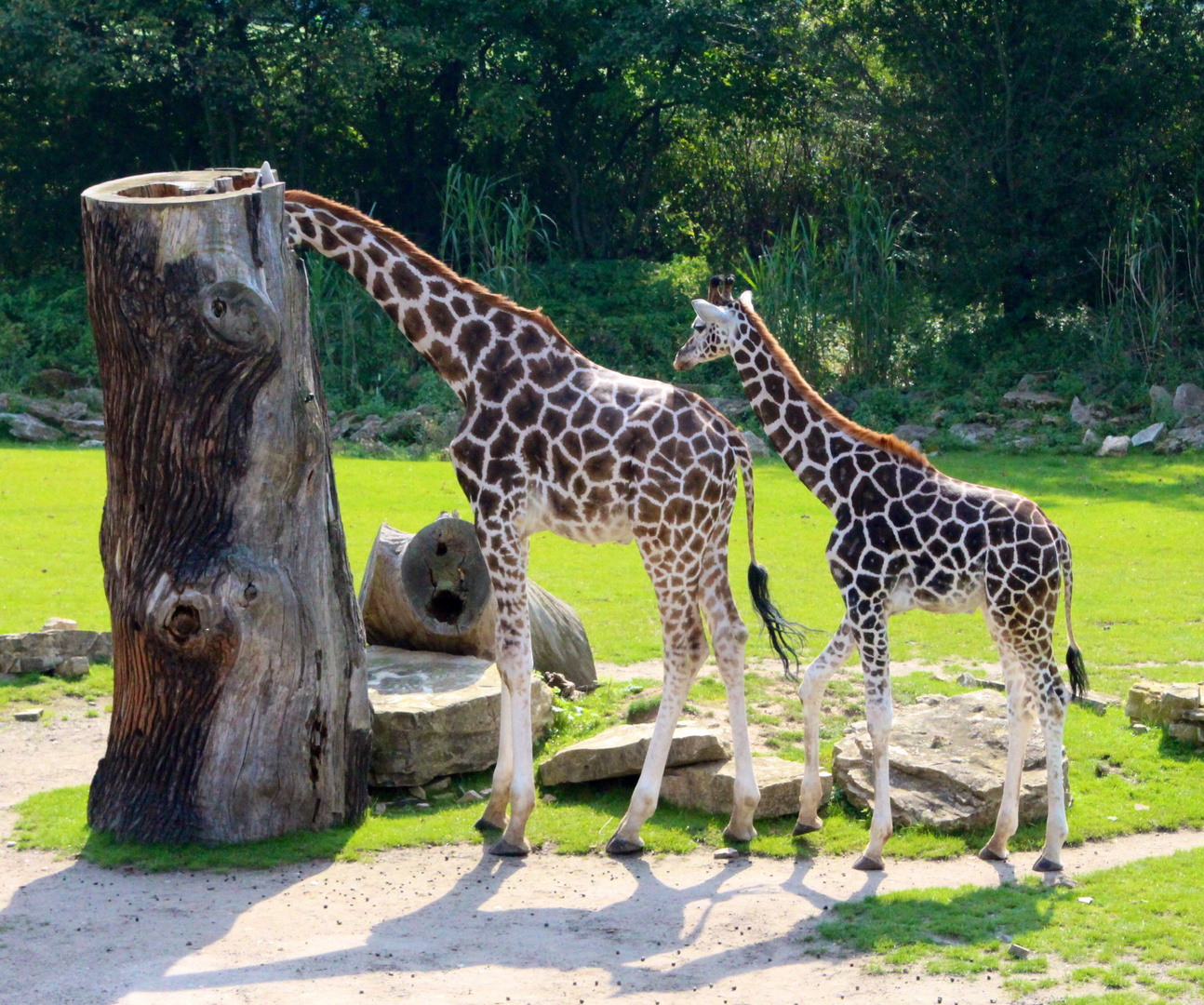 Zoo Leipzig