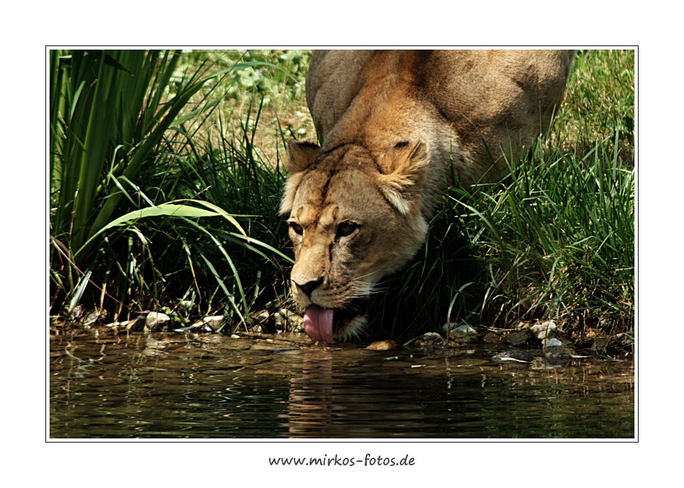 Zoo Leipzig