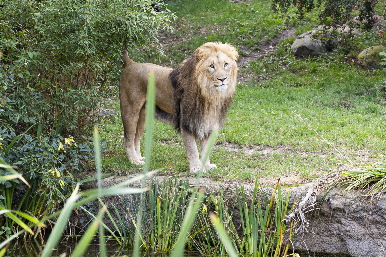 Zoo Leipzig