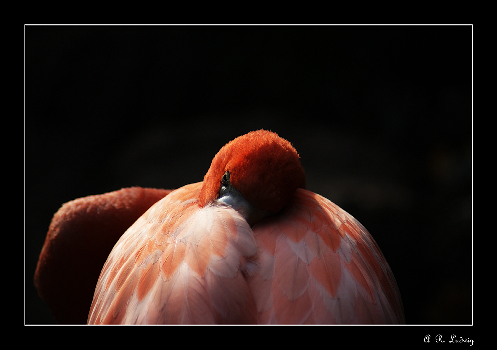 Zoo Leipzig