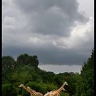 Zoo-Leipzig