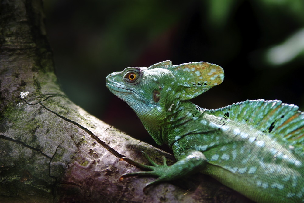 Zoo Leipzig