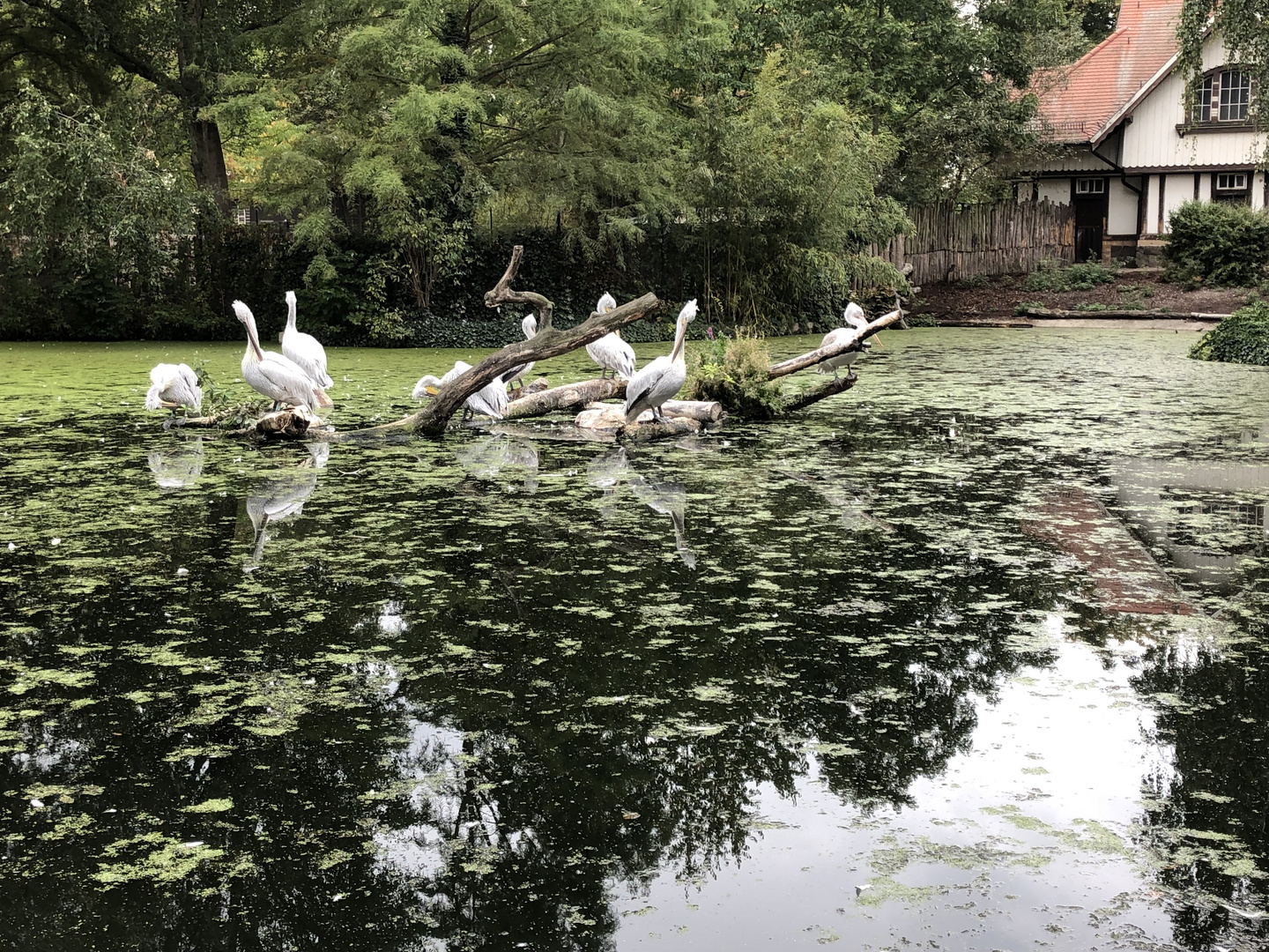 Zoo Leipzig