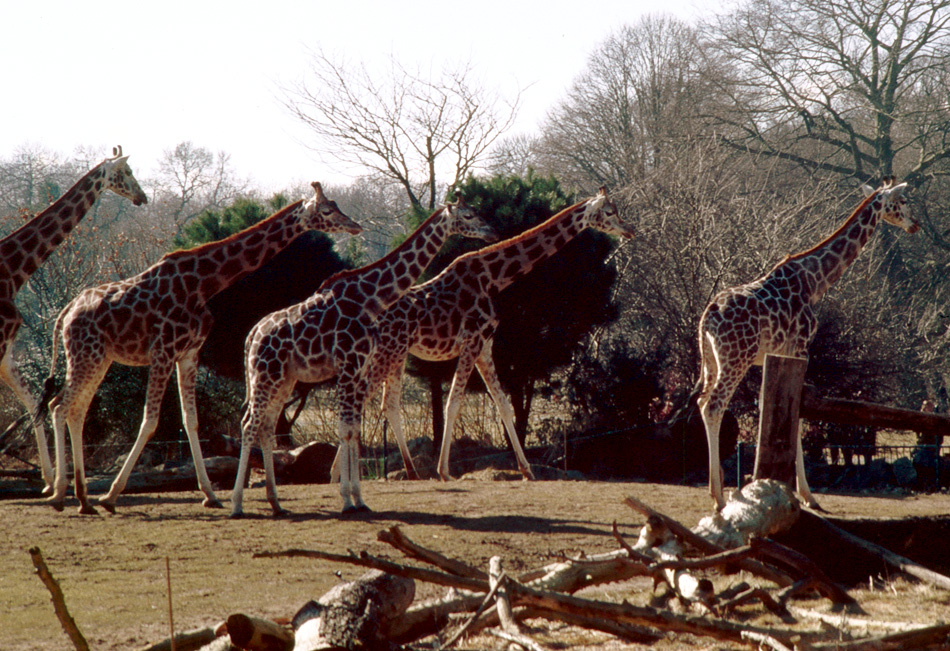 Zoo Leipzig