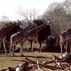 Zoo Leipzig