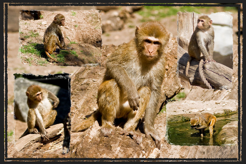 Zoo Leipzig Aug'08