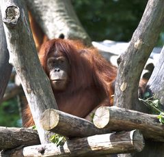 Zoo Leipzig