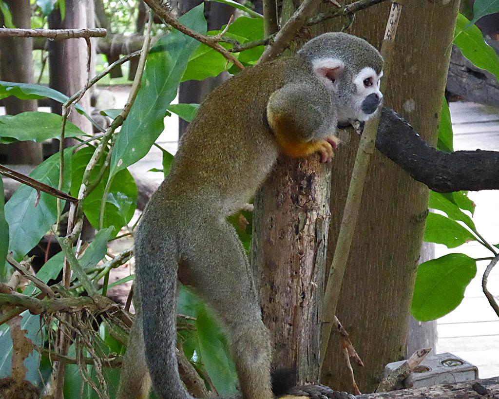 Zoo Leipzig