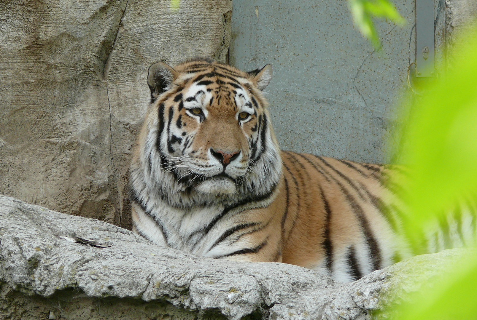 Zoo Leipzig