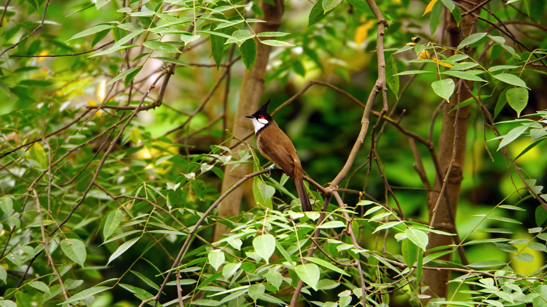 zoo Leipzig