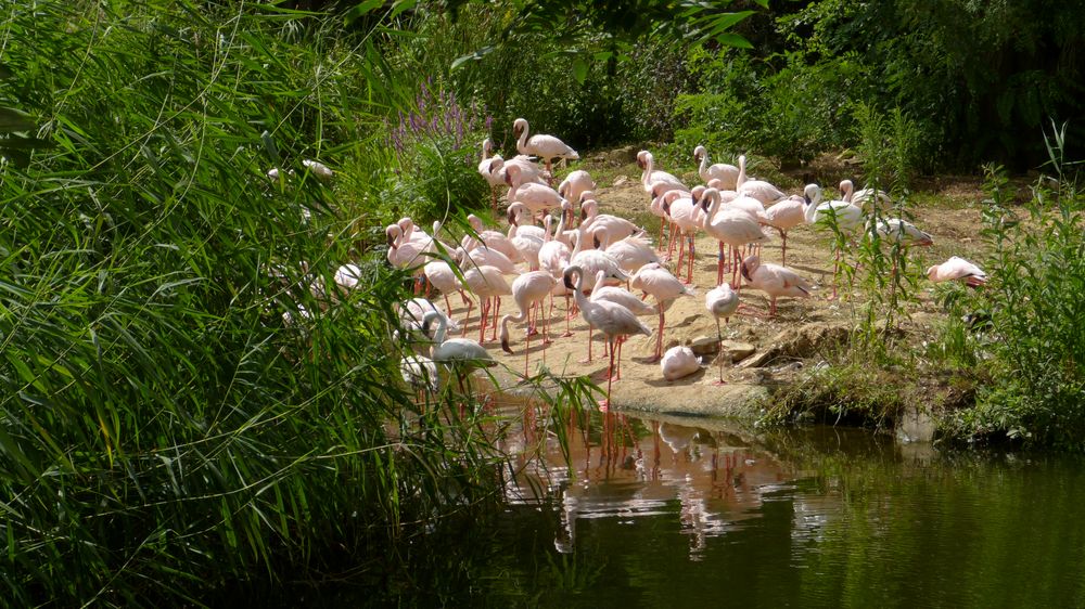 Zoo Leipzig II