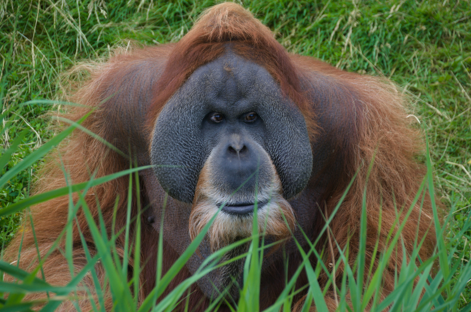 Zoo Leipzig (II)