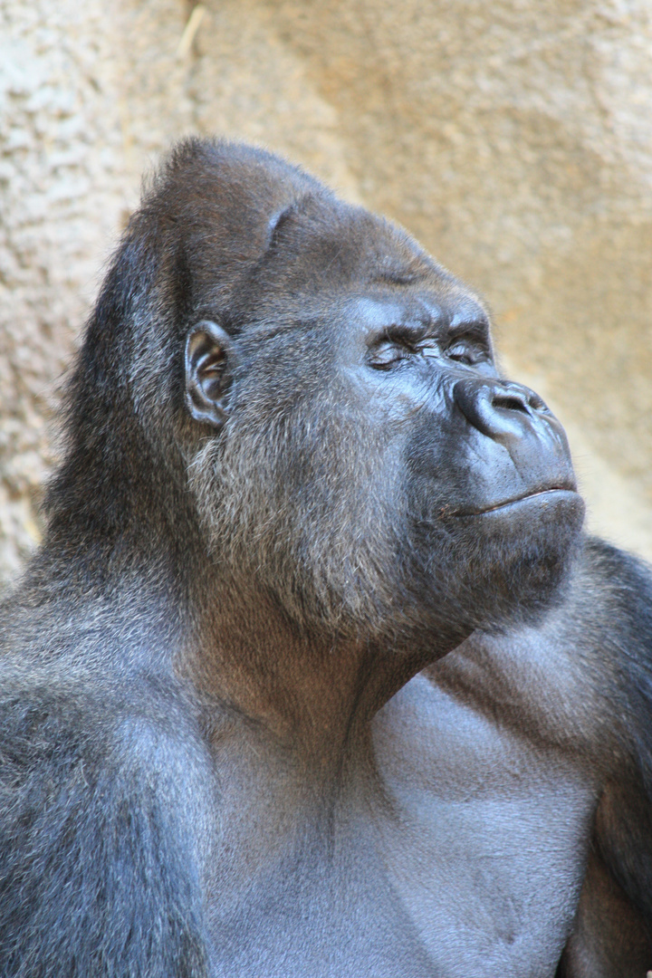 Zoo Leipzig März 2011