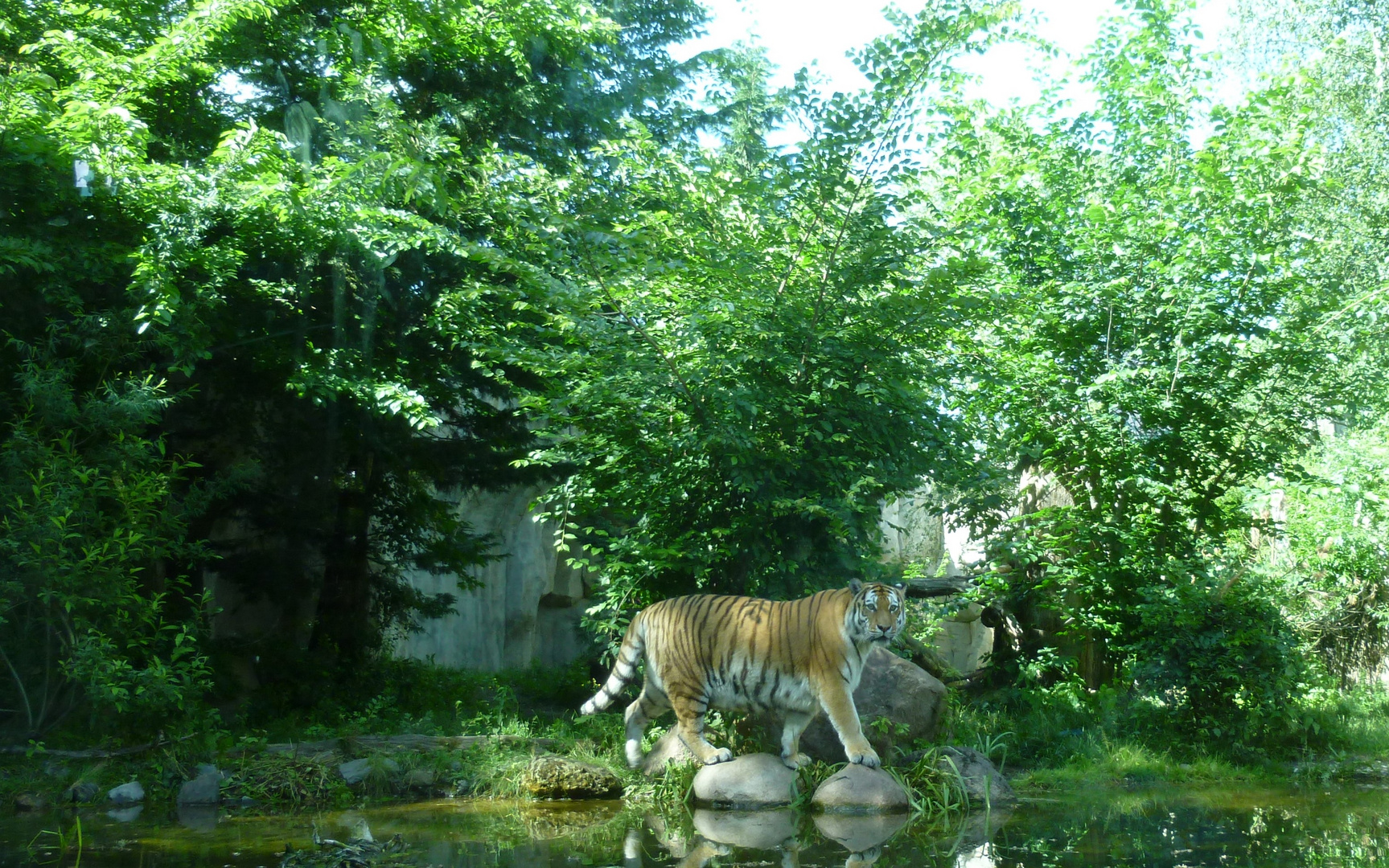 Zoo Leipzig unbearbeitet