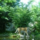 Zoo Leipzig unbearbeitet