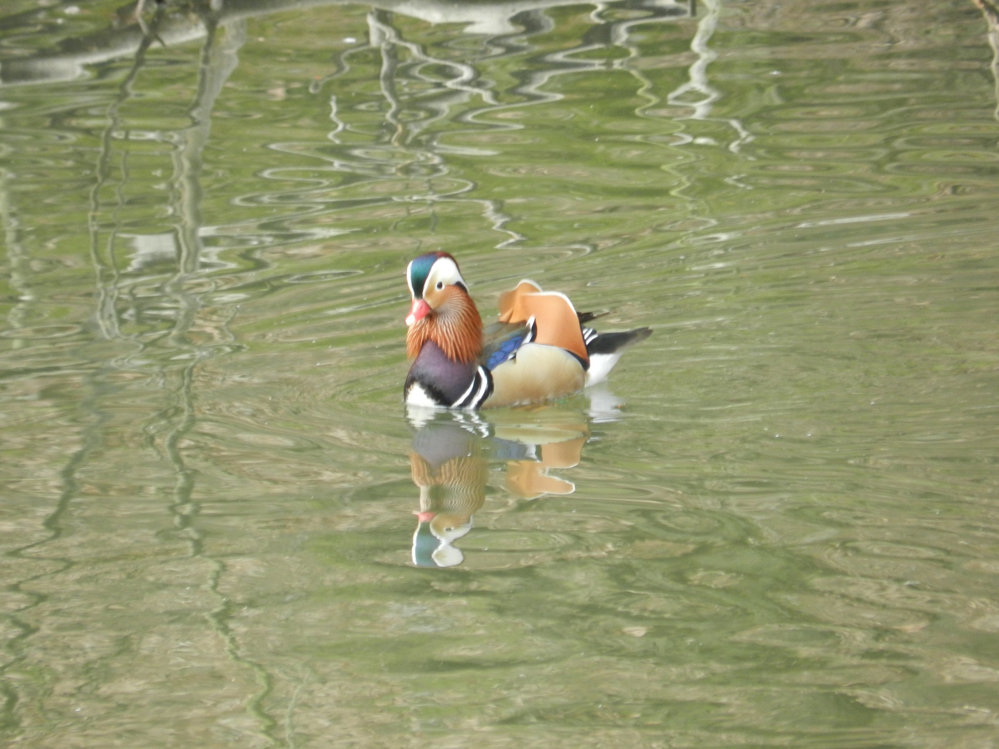 Zoo Liberec