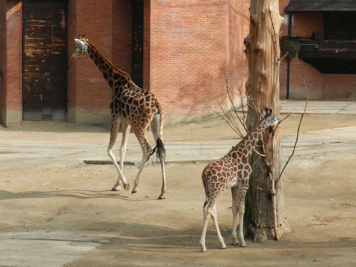 Zoo Liberec