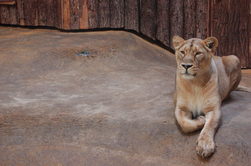 Zoo Magdeburg