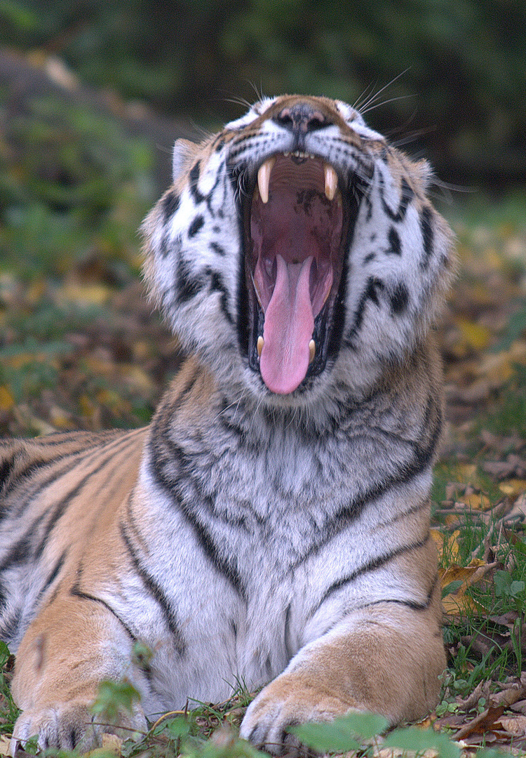 zoo münchen 2