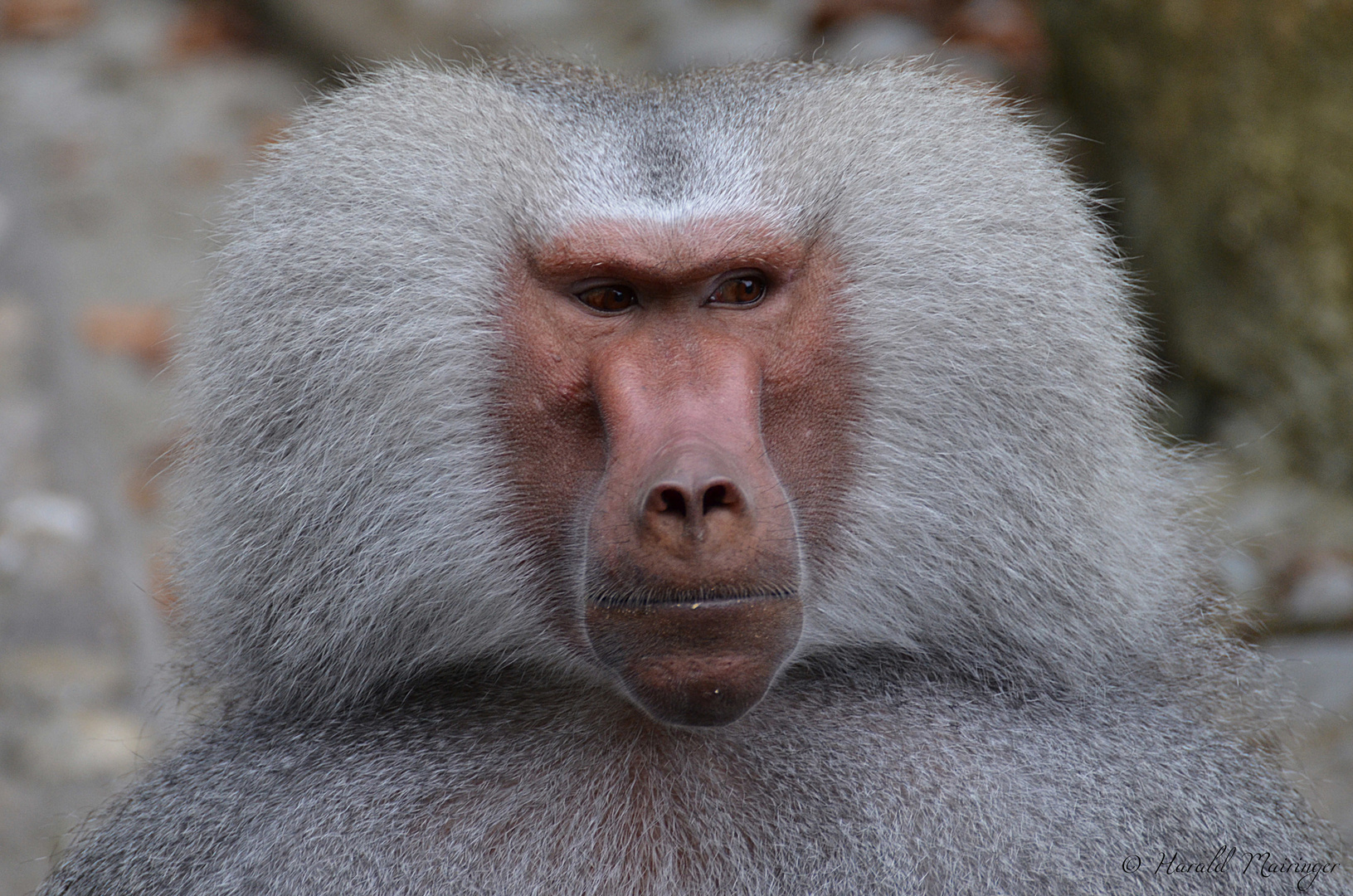 Zoo München