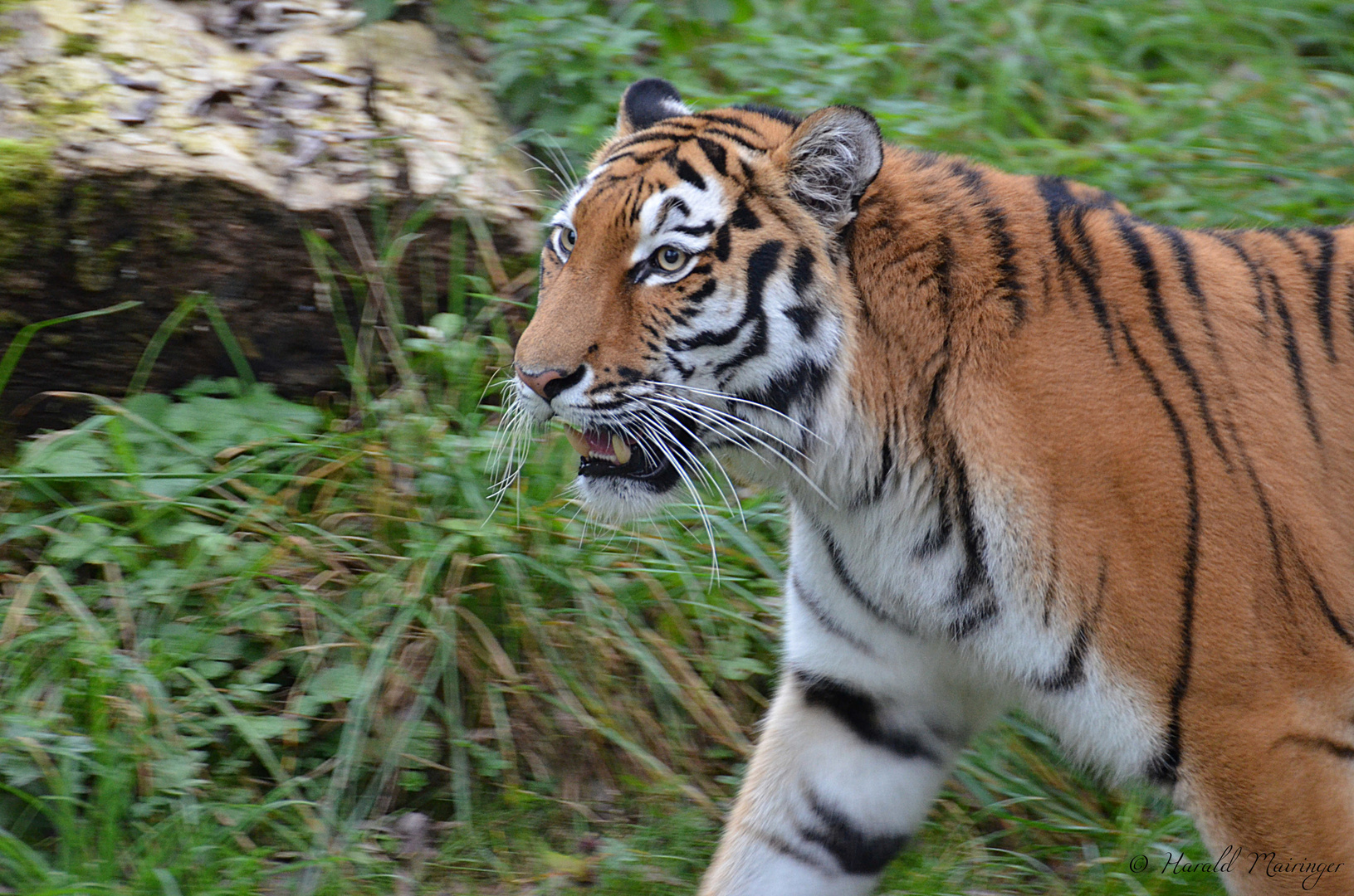 Zoo München 3