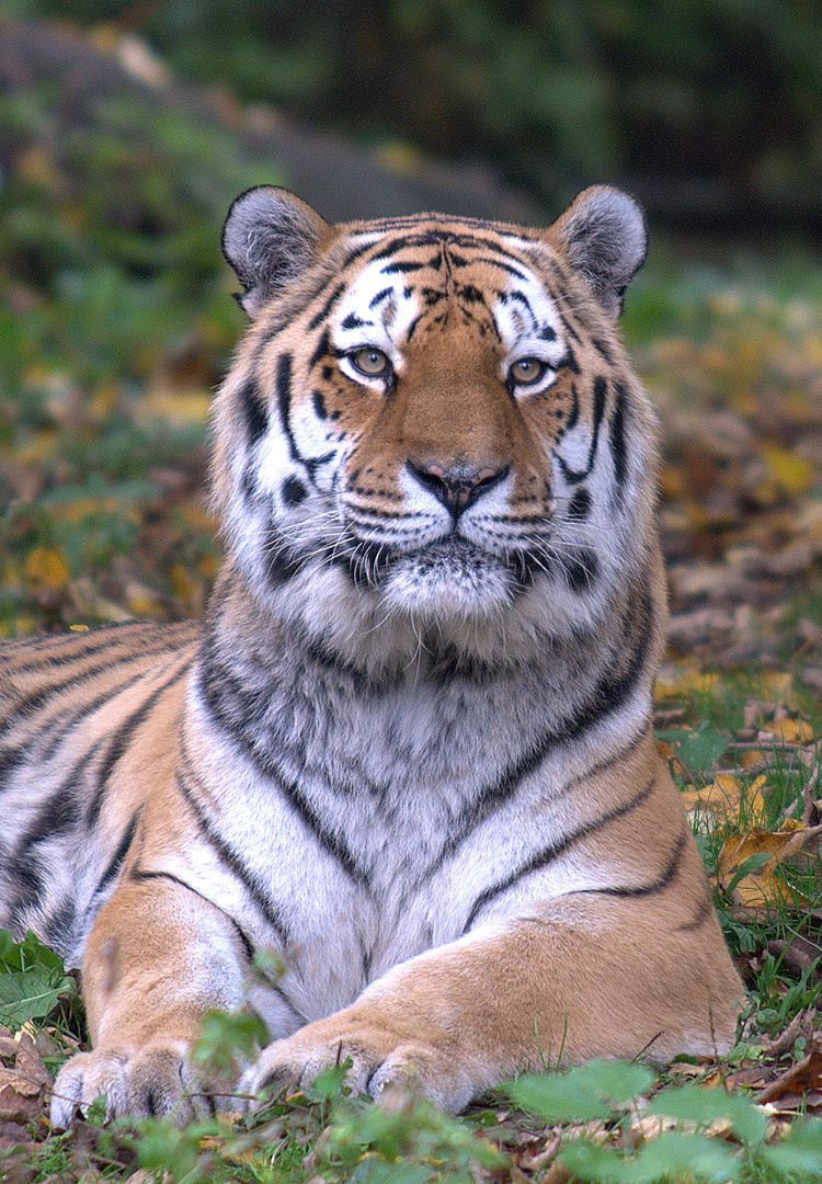 zoo münchen