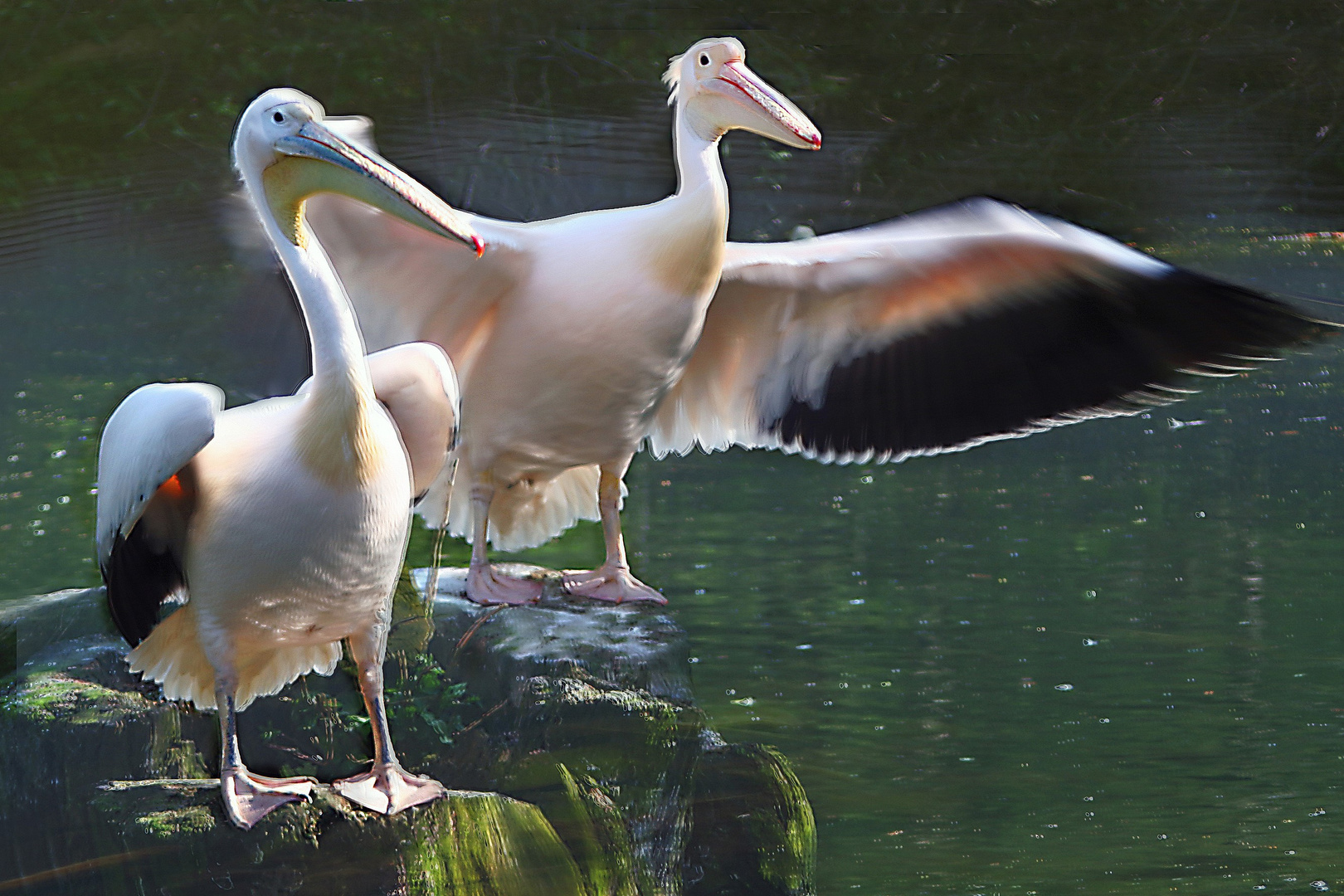 Zoo München