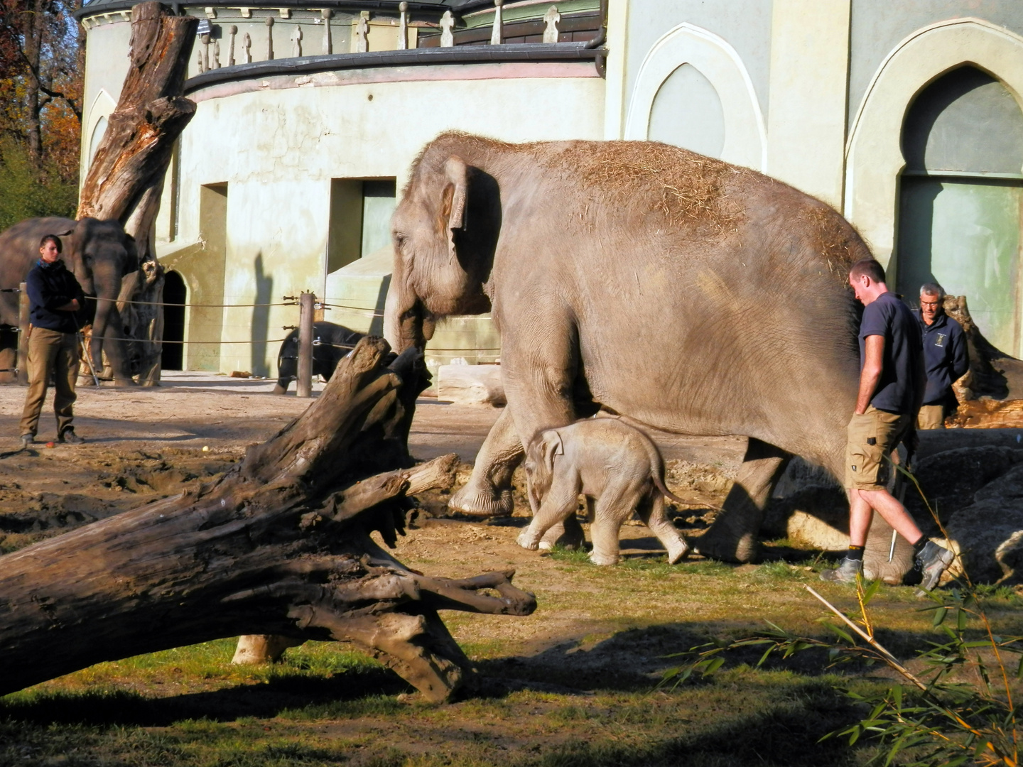 Zoo München Hellabrunn