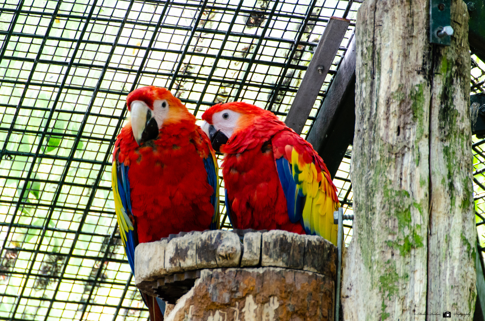 Zoo Münster