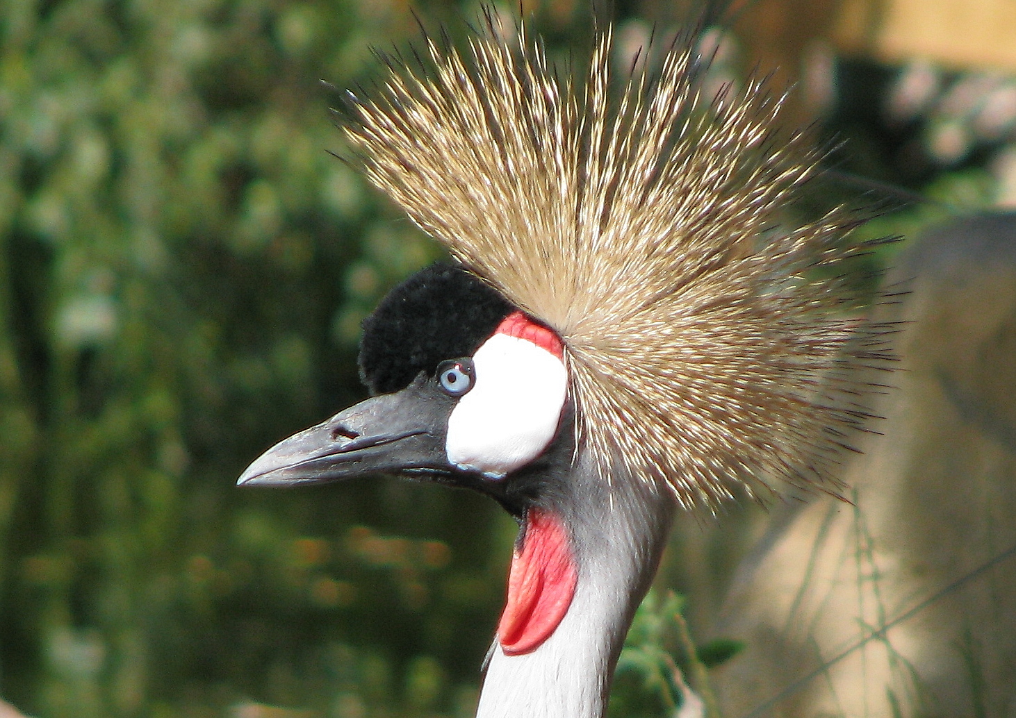 Zoo Münster