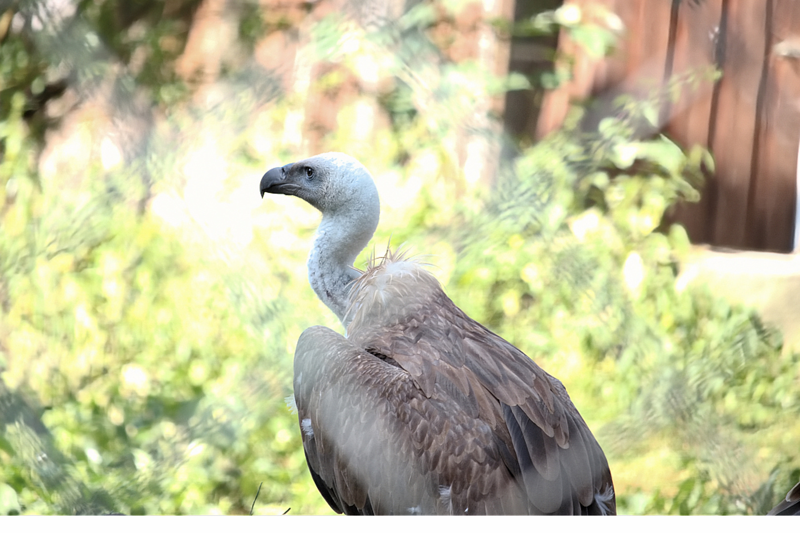 Zoo Münster