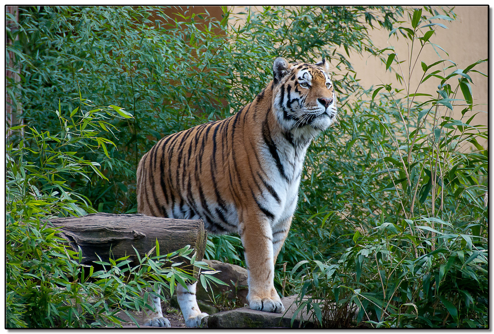 Zoo Münster