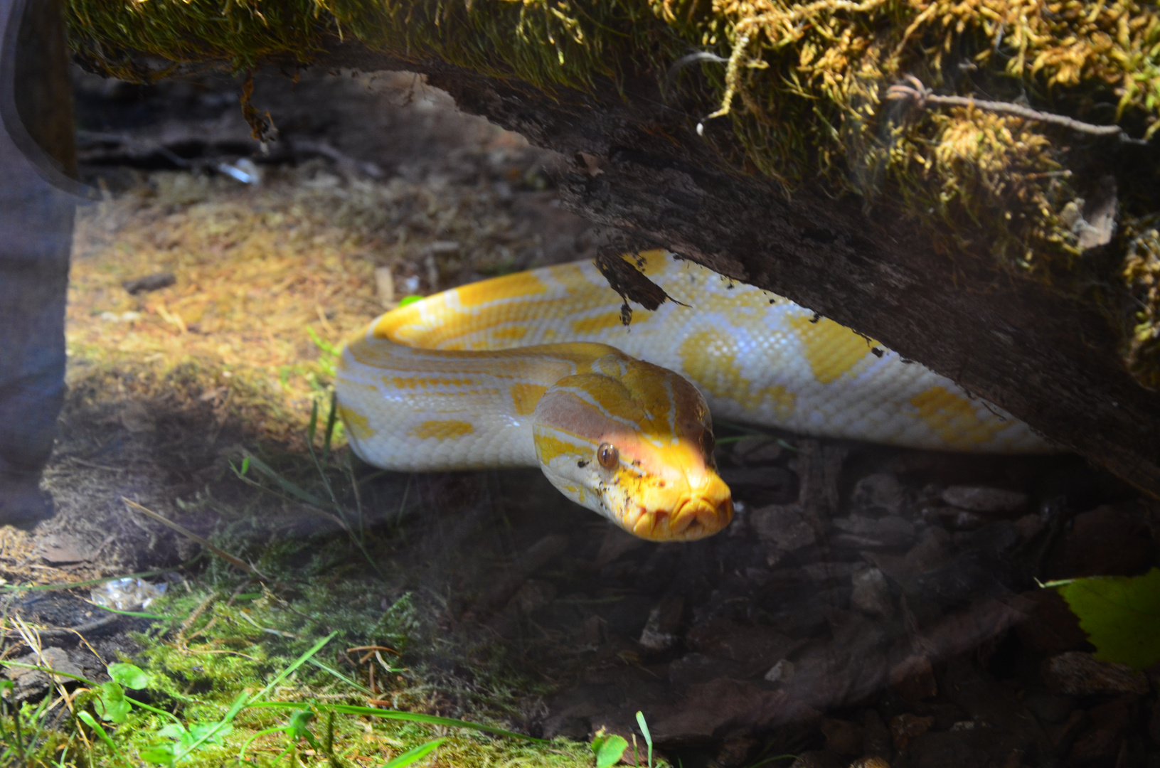 Zoo Neunkirchen