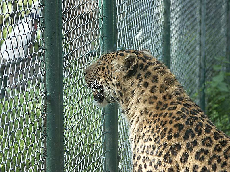 Zoo Neunkirchen