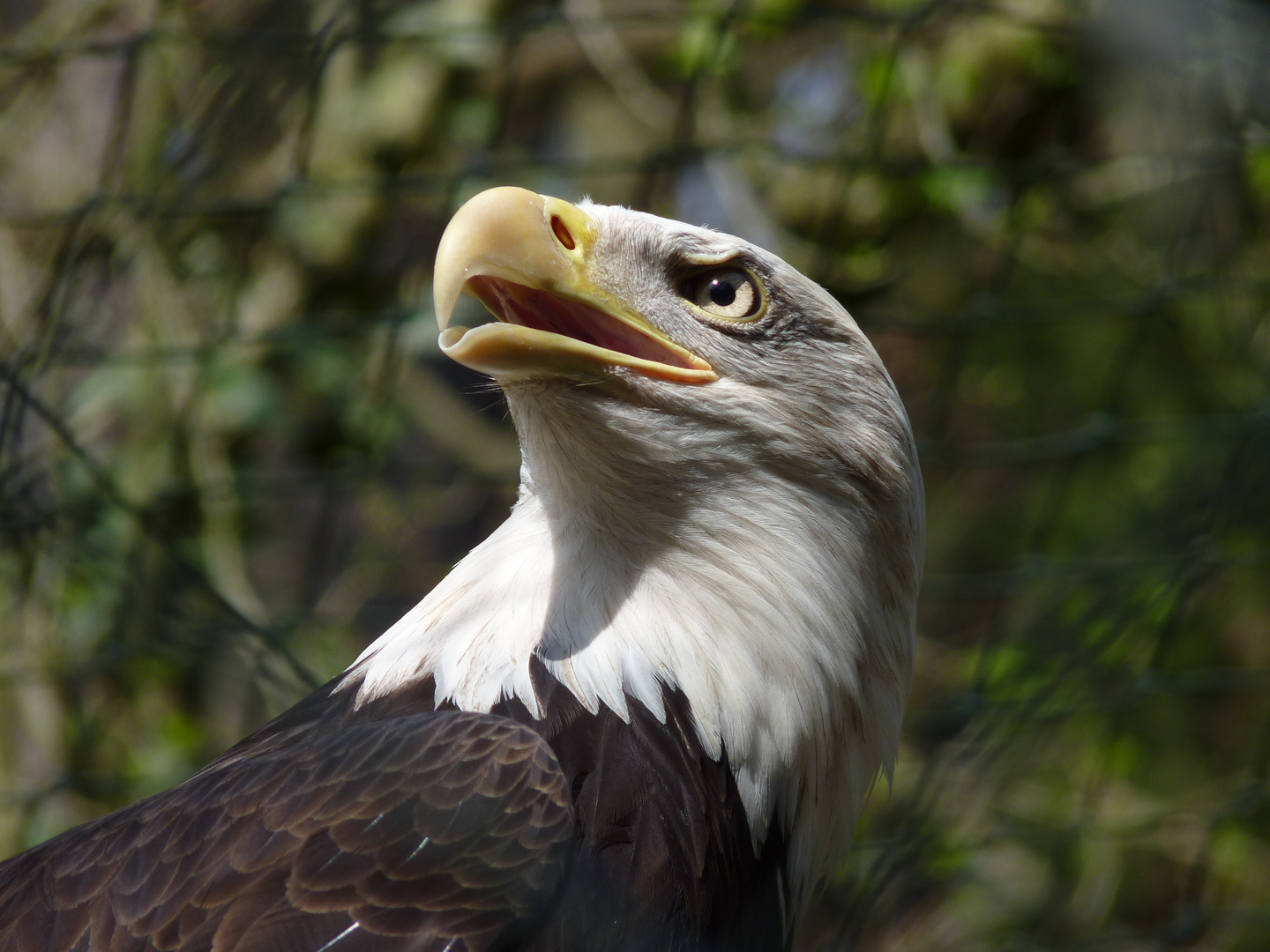 Zoo Nürnberg