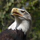 Zoo Nürnberg