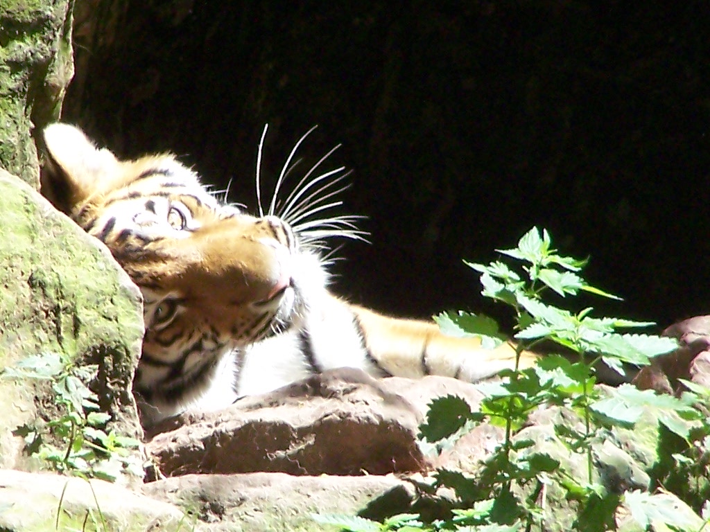 Zoo Nürnberg~Lieblingstier