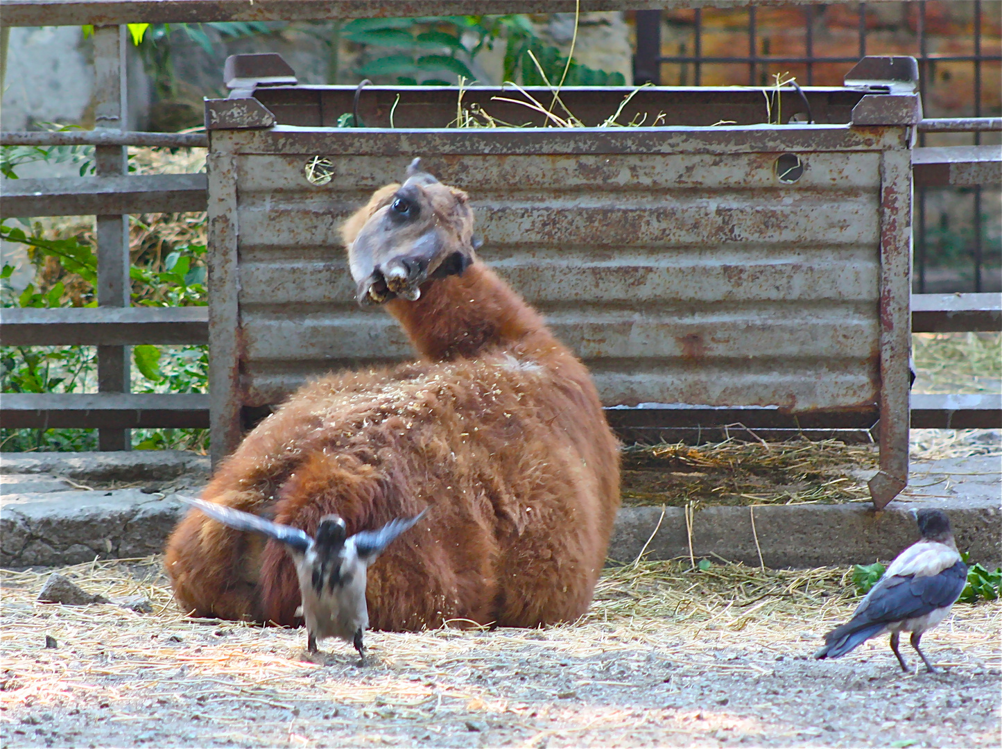 Zoo Odessa