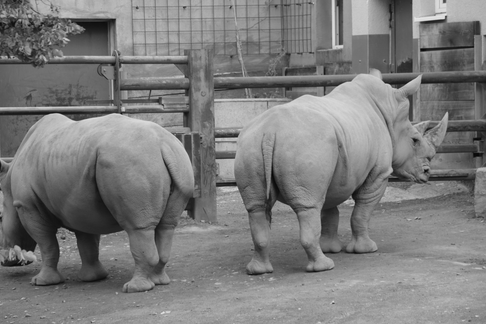 Zoo Osnabrück