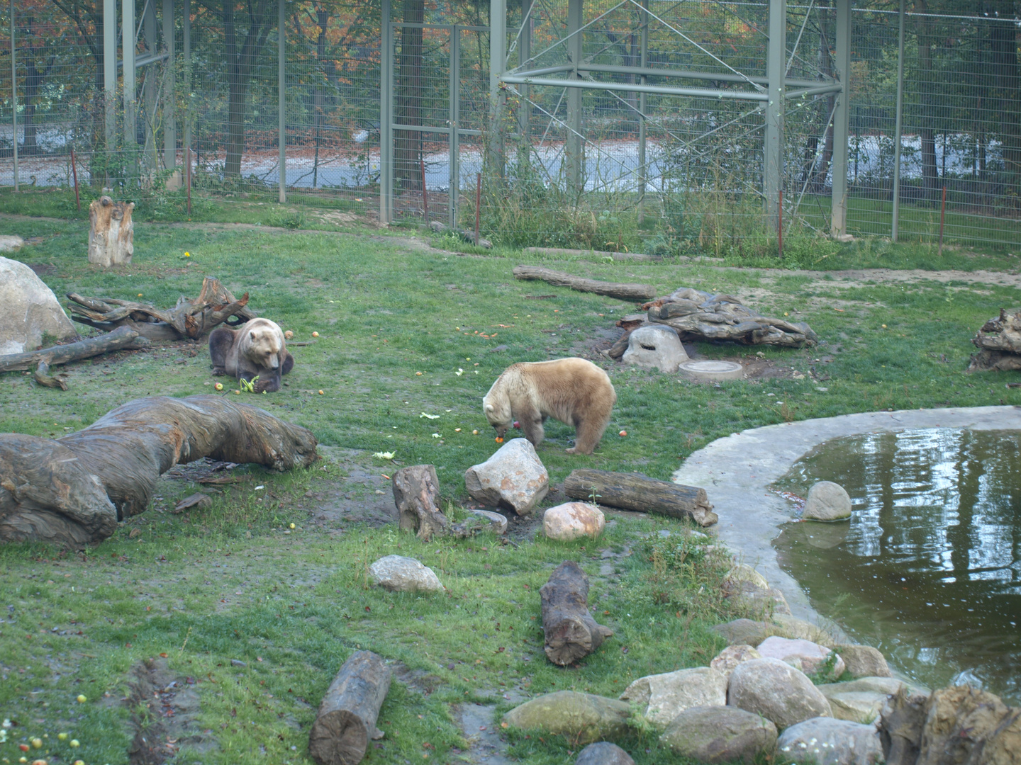 Zoo Osnabrück 2