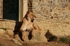 Zoo Osnabrück 23.01.2014_Bild03